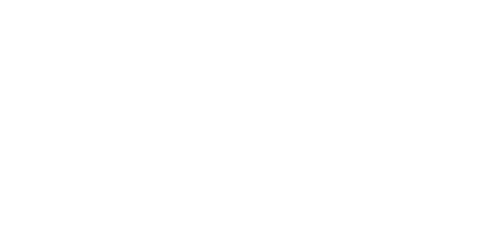 Wilohosting Logo